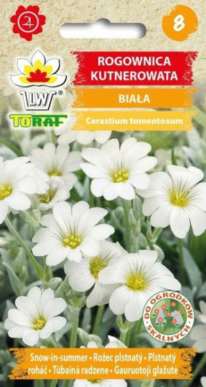 Toraf Nasiona Rogownica kutnerowata BIAŁA