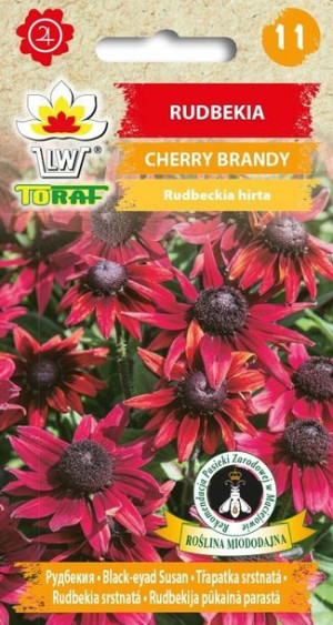 Toraf Nasiona Rudbekia Cherry Brandy 0,1g