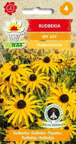 Toraf Nasiona Rudbekia MY JOY