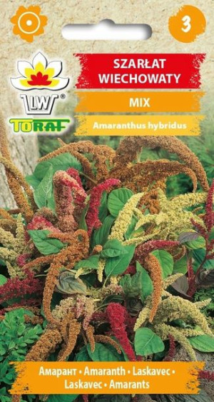 Toraf Nasiona Szarłat ozdobny (wiechowaty) MIX
