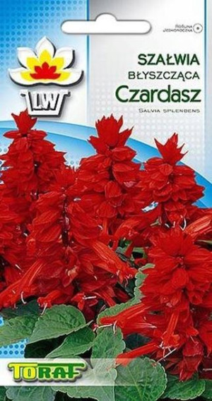 Toraf Nasiona Szałwia błyszcząca Czardasz 0,3g