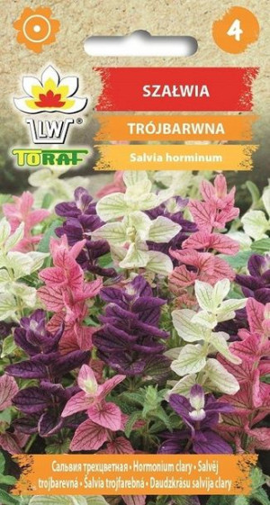 Toraf Nasiona SZAŁWIA TRÓJBARWNA