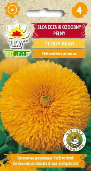 Toraf Nasiona SŁONECZNIK TEDDY BEAR