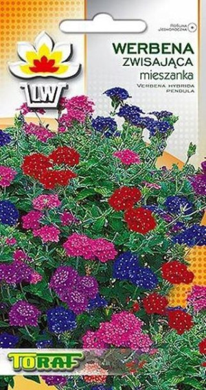 Toraf Nasiona Werbena zwisająca mieszanka 0,3g