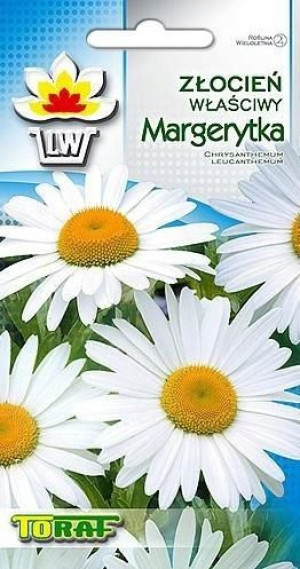 Toraf Nasiona Złocień właściwy 1g