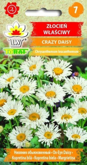 Toraf Nasiona Złocień właściwy Crazy Daisy 0,2g