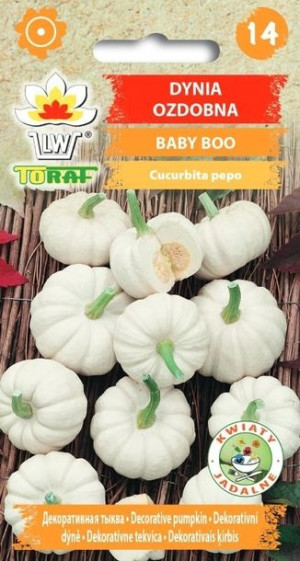 Toraf Nasiona Dynia ozdobna baby boo 2g