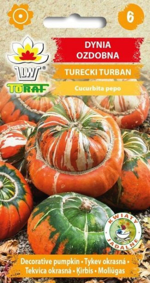 Toraf Nasiona Dynia ozdobna TURECKI TURBAN 2G