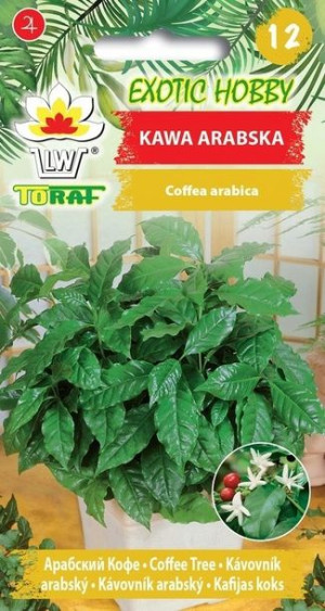 Toraf Nasiona Exotic Hobby Kawa Arabska [6szt.]1op