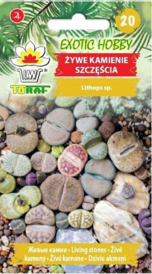 Toraf Nasiona Exotic Żywe kamienie szczęścia 20szt
