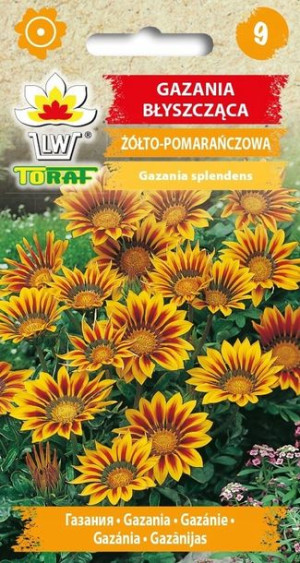 Toraf Nasiona Gazania lśniąca 0,5g
