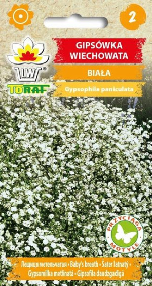 Toraf Nasiona Gipsówka wiechowata - biała