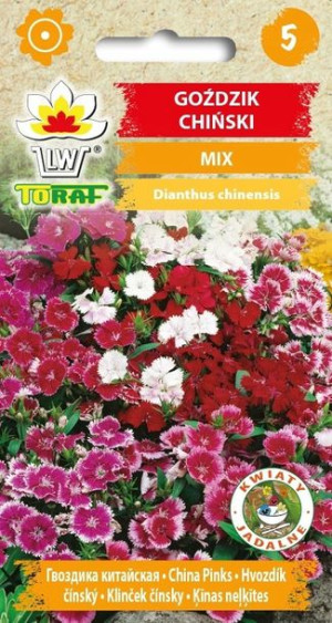 Toraf Nasiona Gożdzik Chiński mix 1G