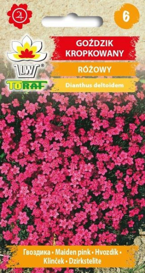Toraf Nasiona Goździk kropkowany różowy 0,3g