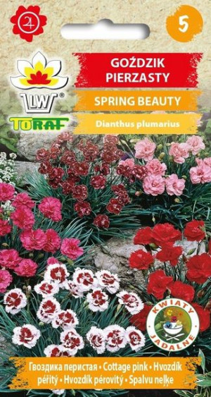 Toraf Nasiona Goździk pierzasty MIX Spring Beauty