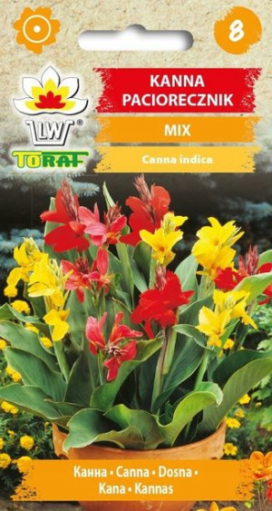 Toraf Nasiona Kanna, paciorecznik - MIX kolorów 1g