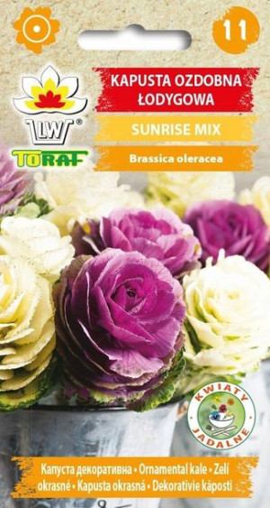 Toraf Nasiona Kapusta ozdobna łod.Sunrise Mix 10sz