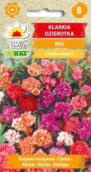 Toraf Nasiona Klarkia Dzierotka mix 0,5G