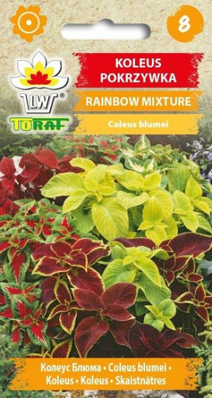 Toraf Nasiona Koleus pokrzywka Rainbow Mixture
