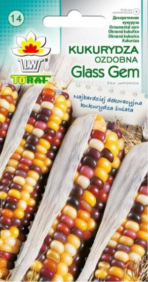 Toraf Nasiona Kukurydza ozdobna GLASS GEM 3G