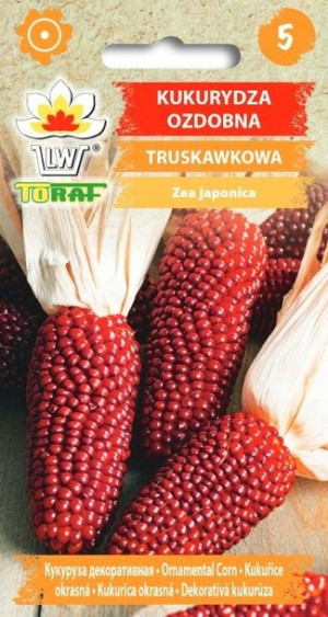 Toraf Nasiona Kukurydza ozdobna Truskawkowa 2G