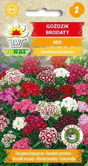 Toraf Nasiona KWIATY GOŹDZIK BRODATY MIX 1G