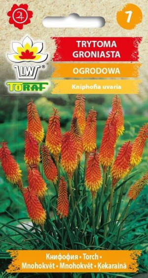 Toraf Nasiona kwiaty Trytoma Groniasta 0,5g