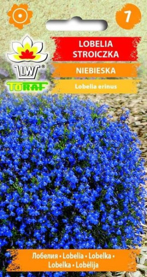 Toraf Nasiona Lobelia stroiczka niebieska 0,1G
