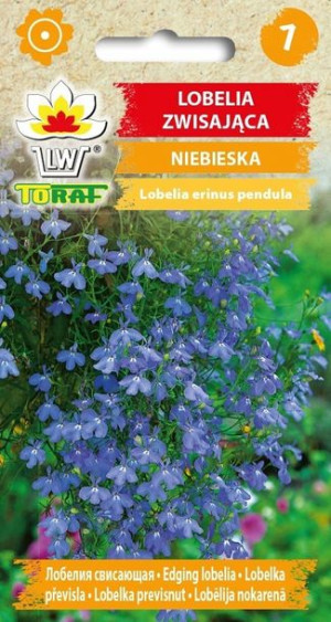 Toraf Nasiona Lobelia ZWISAJĄCA NIEBIESKA 0,1G