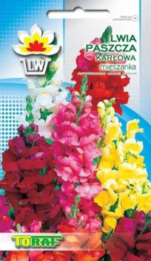 Toraf Nasiona Lwia paszcza karłowa MIX 0,5g