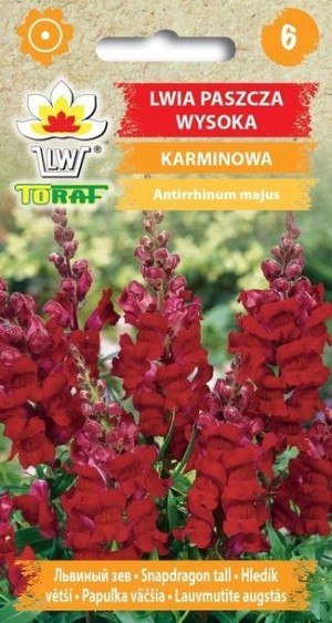 Toraf Nasiona Lwia paszcza wysoka KARMINOWA 0,5G