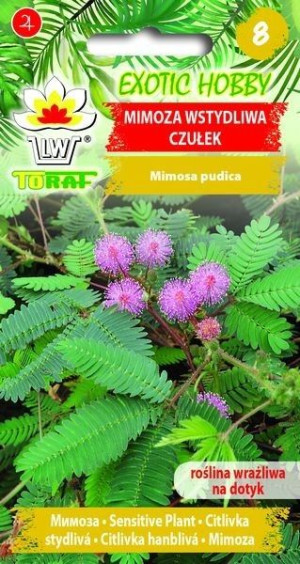 Toraf Nasiona Mimoza czułek 0,2g
