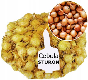 Cebula DYMKA 0,5kg 8-15mm STURON 500g