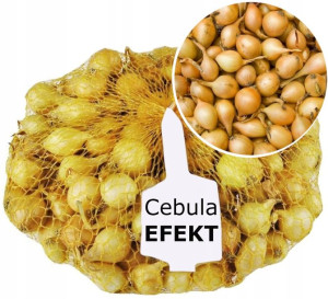 Cebula DYMKA 15-21mm EFEKT III 3kg