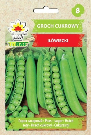 Toraf Groch cukrowy Iłówiecki 50g