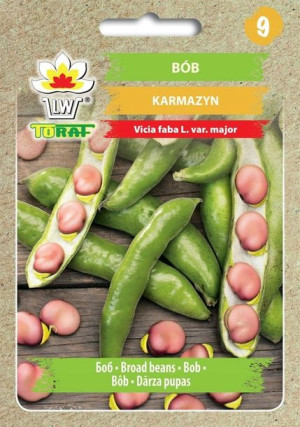 Toraf Nasiona Bób Karmazyn 30g