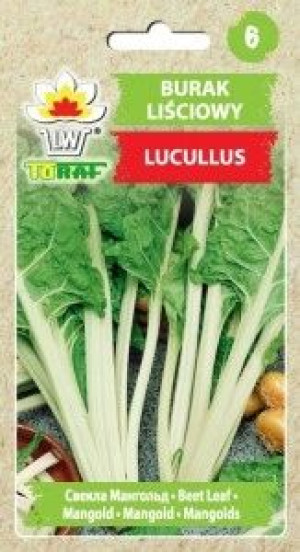 Toraf Nasiona Burak liściowy Lucullus 5g