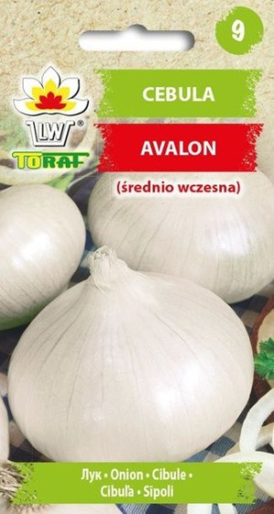 Toraf Nasiona Cebula Avalon 3g Biała Słodkawa