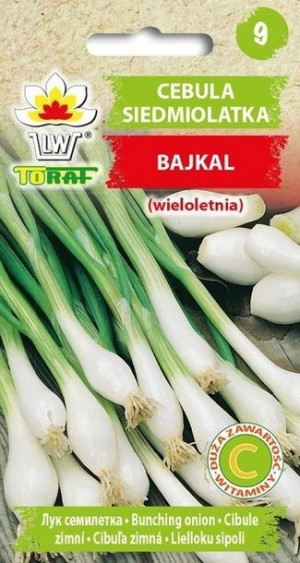 Toraf Nasiona Cebula Siedmiolatka Bajkał 3g