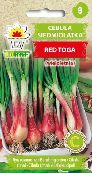 Toraf Nasiona Cebula siedmiolatka Red Toga 1g
