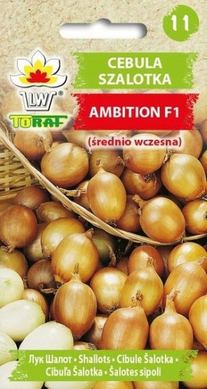 Toraf Nasiona Cebula szalotka Ambition F1 [20szt]