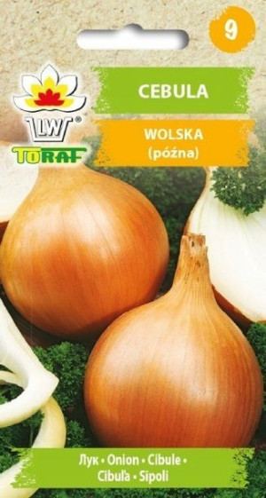 Toraf Nasiona Cebula Wolska 5g późna