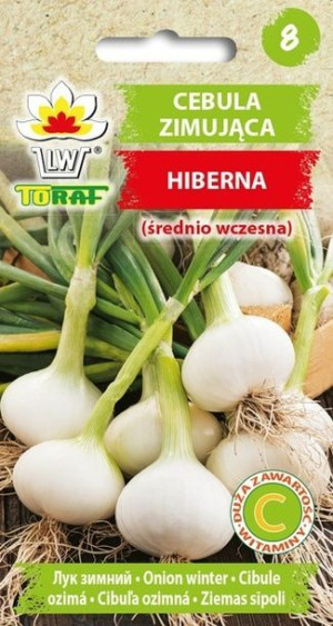 Toraf Nasiona CEBULA ZIMUJĄCA HIBERNA 2G