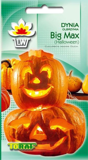 Toraf Nasiona Dynia Big Max 4g HALLOWEEN