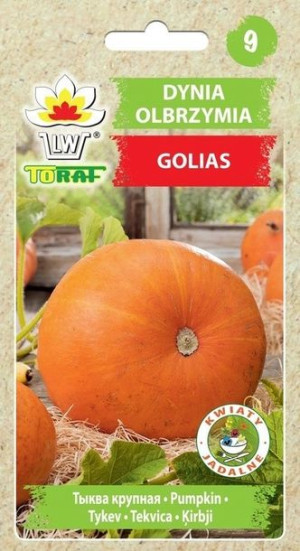 Toraf Nasiona Dynia Golias 4g