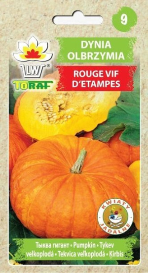 Toraf Nasiona Dynia olbrzymia Rouge Vif d`Etampes