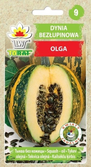 Toraf Nasiona Dynia Olga 4g