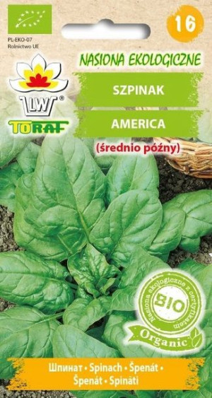 Toraf Nasiona Eko. Szpinak America BIO 10g