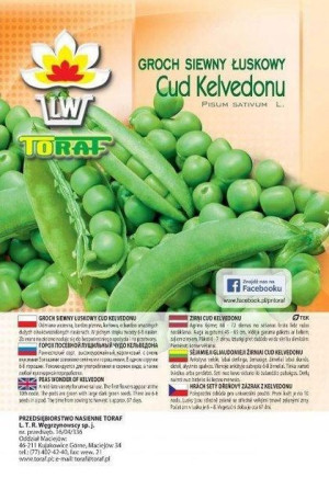 Toraf Nasiona Groch Cud Kelvedonu 500 g Duże opk.