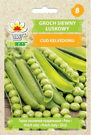 Toraf Nasiona Groch siewny Cud Kalvedonu 50g